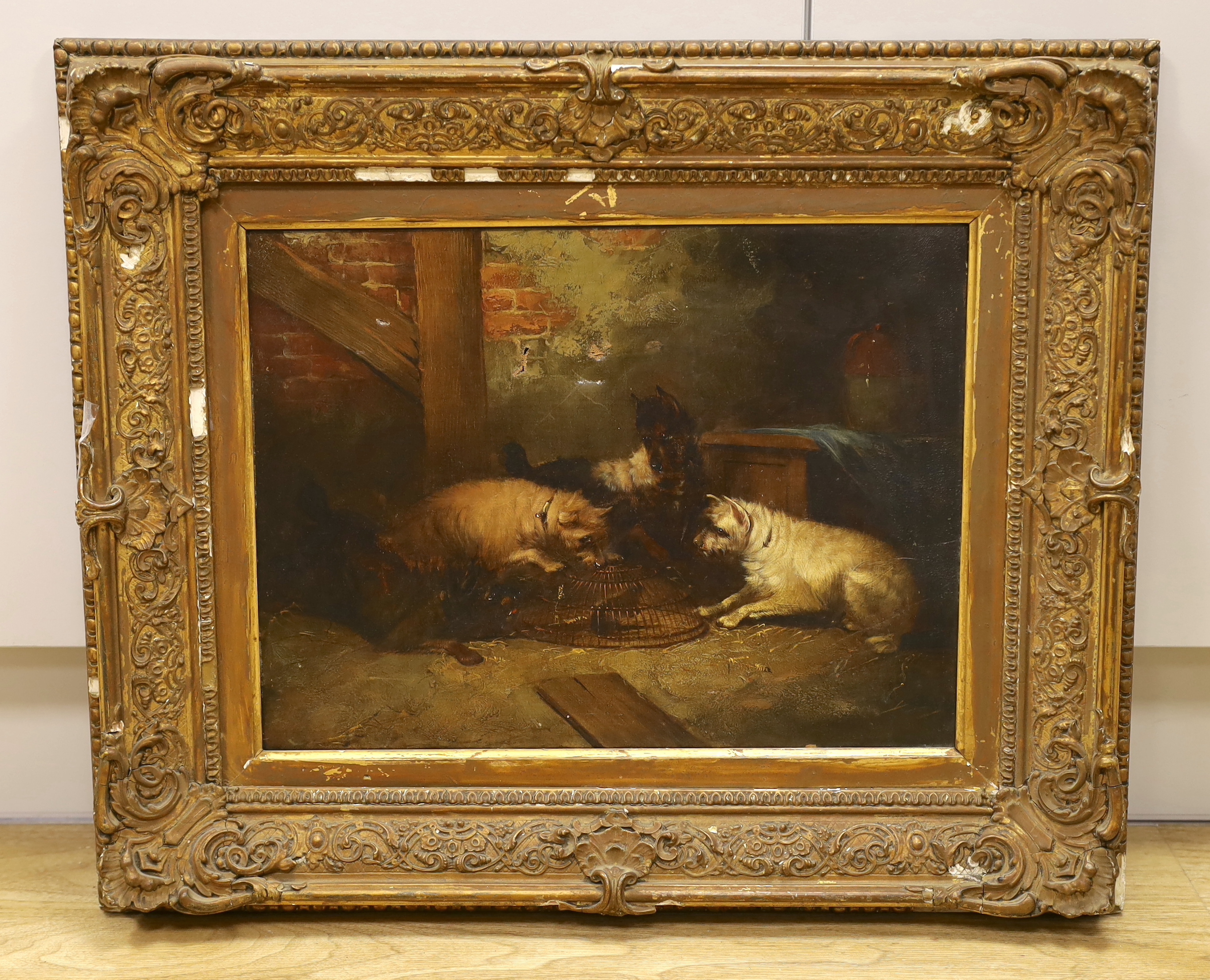 After George Armfield (1808–1893) oil on canvas, Terriers ratting, 31 x 41 cm